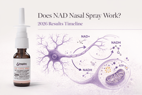 Does NAD Nasal Spray Work? 2026 Results Timeline - DrSeinfeld.com Operated by Ginspire Health LLC