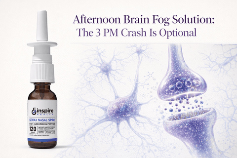 Afternoon Brain Fog Solution: The 3 PM Crash Is Optional - DrSeinfeld.com Operated by Ginspire Health LLC