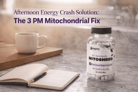 Afternoon Energy Crash Solution: The 3 PM Mitochondrial Fix - DrSeinfeld.com Operated by Ginspire Health LLC