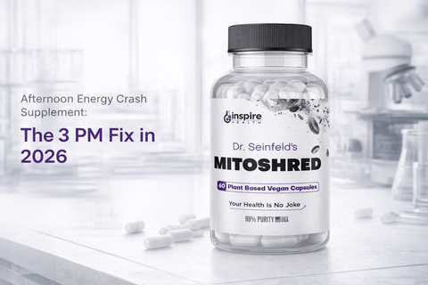 Afternoon Energy Crash Supplement: The 3 PM Fix in 2026 - DrSeinfeld.com Operated by Ginspire Health LLC
