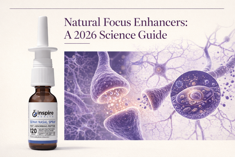 Natural Focus Enhancers: A 2026 Science Guide