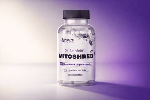 Afternoon Energy Crash Supplement: The 3 PM Fix in 2026 - DrSeinfeld.com Operated by Ginspire Health LLC