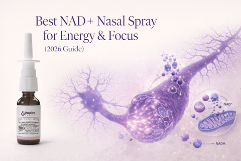 Best NAD+ Nasal Spray for Energy & Focus (2026 Guide) - DrSeinfeld.com Operated by Ginspire Health LLC