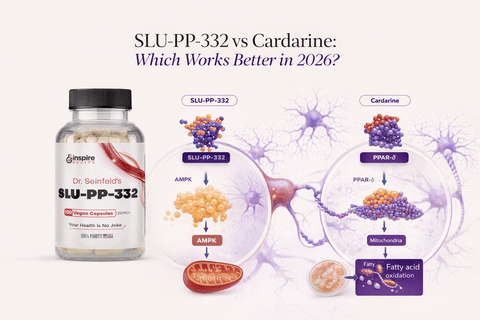 SLU-PP-332 vs Cardarine: Which Works Better in 2026? - DrSeinfeld.com Operated by Ginspire Health LLC