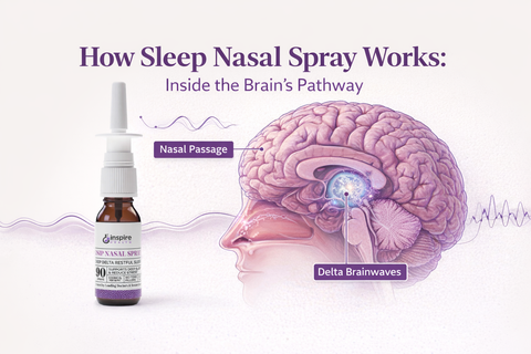 How Sleep Nasal Spray Works: Inside the Brain's Pathway