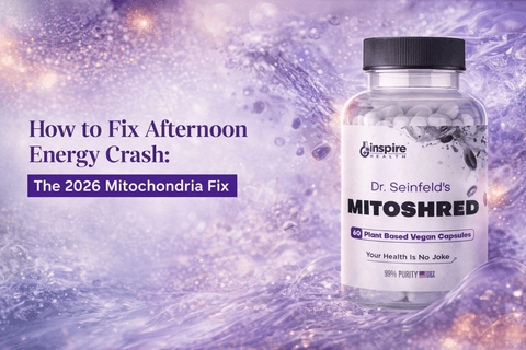 How to Fix Afternoon Energy Crash: The 2026 Mitochondria Fix - DrSeinfeld.com Operated by Ginspire Health LLC