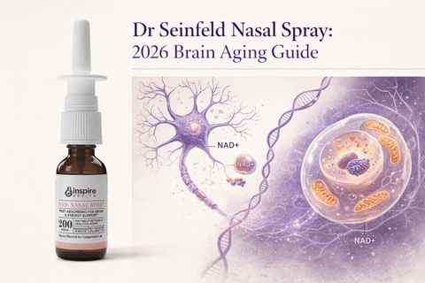 Dr Seinfeld Nasal Spray: 2026 Brain Aging Guide - DrSeinfeld.com Operated by Ginspire Health LLC