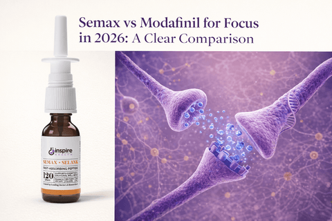 Semax vs Modafinil for Focus in 2026: A Clear Comparison - DrSeinfeld.com Operated by Ginspire Health LLC