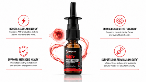 NAD Nasal Spray for Cellular Vitality - DrSeinfeld.com Operated by Ginspire Health LLC